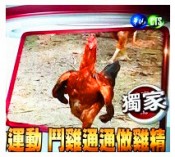 醫生廚房滴雞精