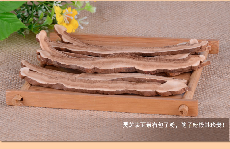長白山靈芝片