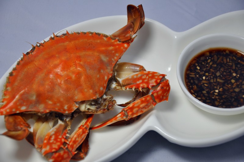 梭子蟹