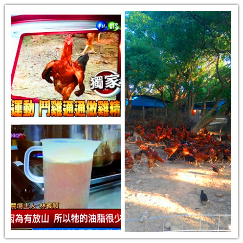 醫生廚房和其他品牌的區別