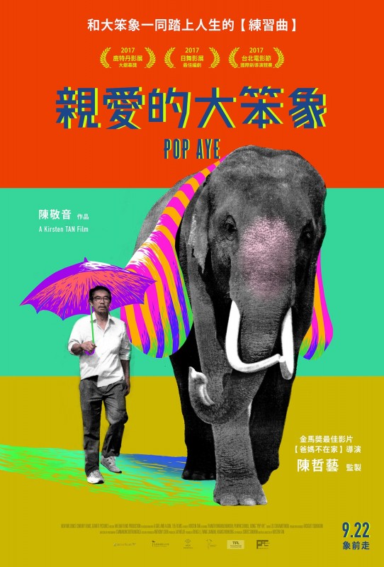 親愛的大笨象DVD