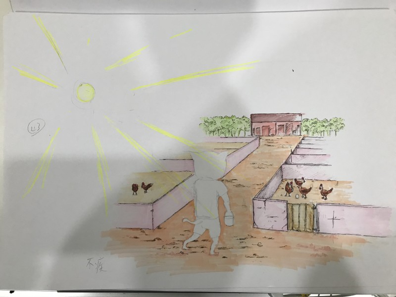 大腦43區潛能開發-不疾不徐