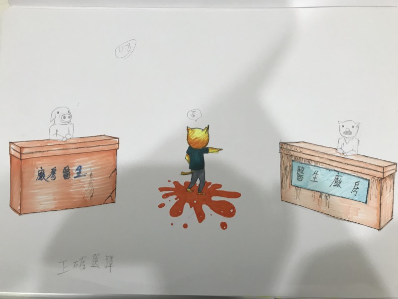 大腦48區潛能開發-正確選擇