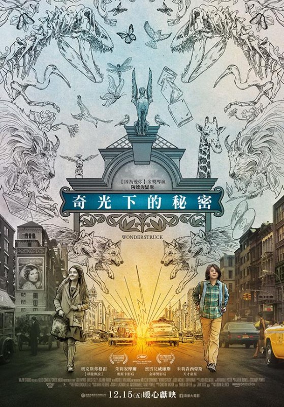 奇光下的秘密DVD
