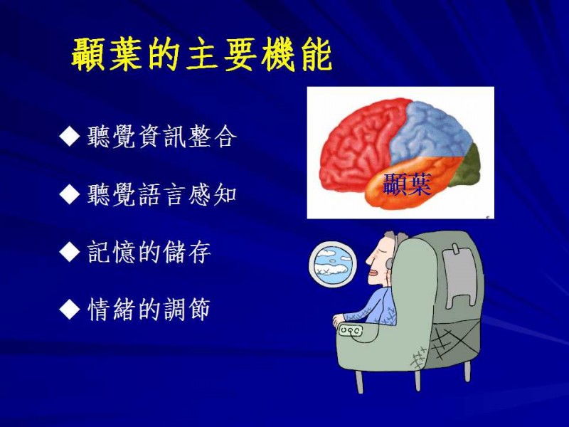 顳葉分區功能