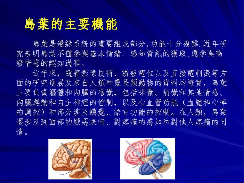 島葉分區功能