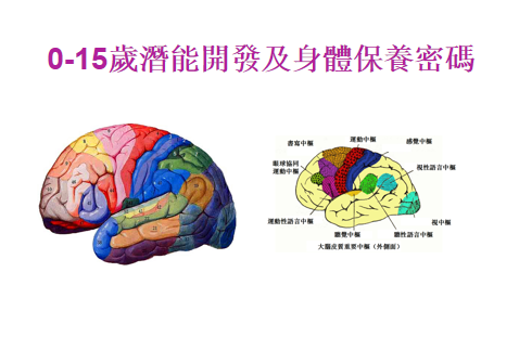 0-15歲大腦潛能開發及身體保養密碼