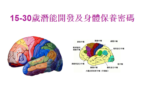 15-30歲大腦潛能開發及身體保養密碼