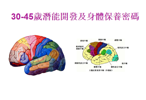 30-45歲大腦潛能開發及身體保養密碼