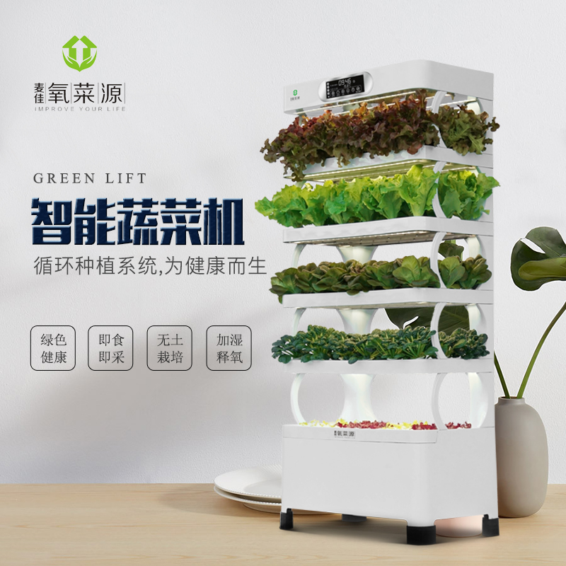 水培蔬菜比大田栽培的蔬菜更新鮮健康